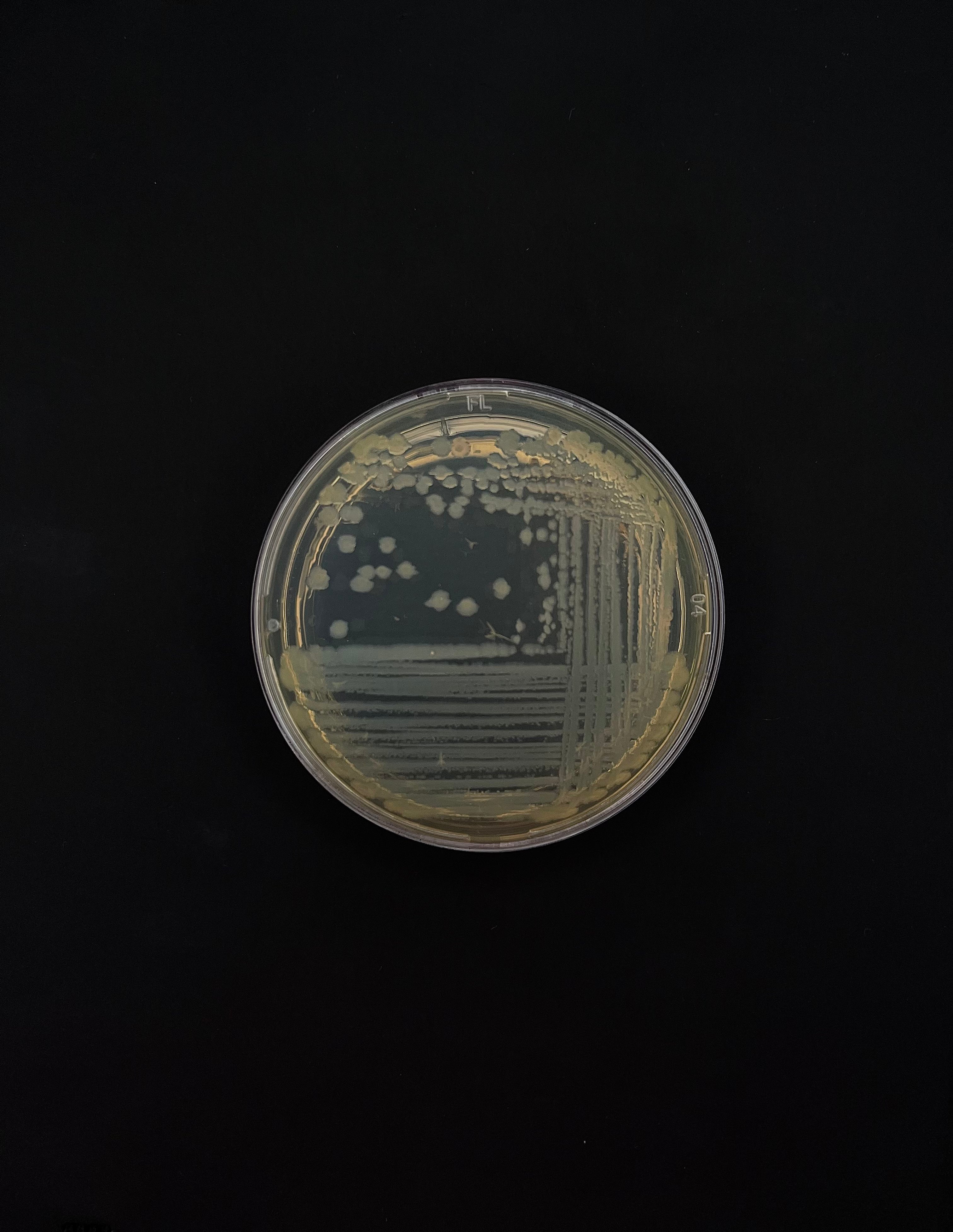 A (r)evolução brasileira da biotecnologia nos cosméticos