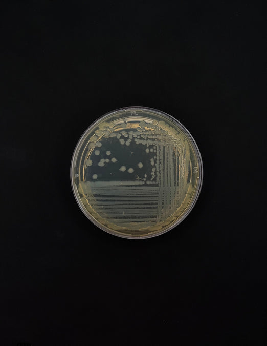 A (r)evolução brasileira da biotecnologia nos cosméticos