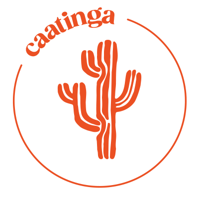 Caatinga