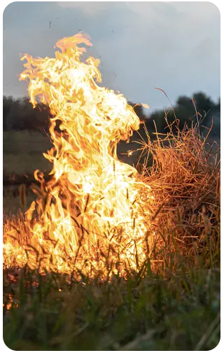 Jardim Brasil Cosméticos Sustentáveis Brasileiros