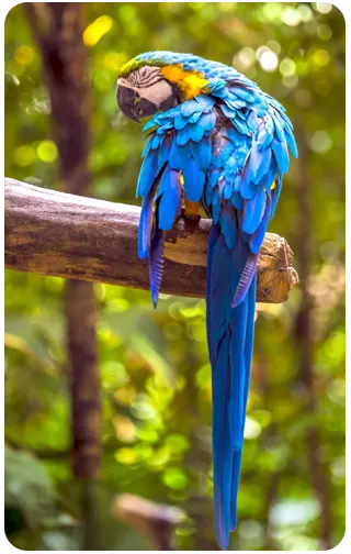 Jardim Brasil Cosméticos Sustentáveis Brasileiros