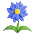 FLOR