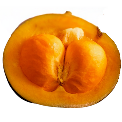 Óleo de pequi